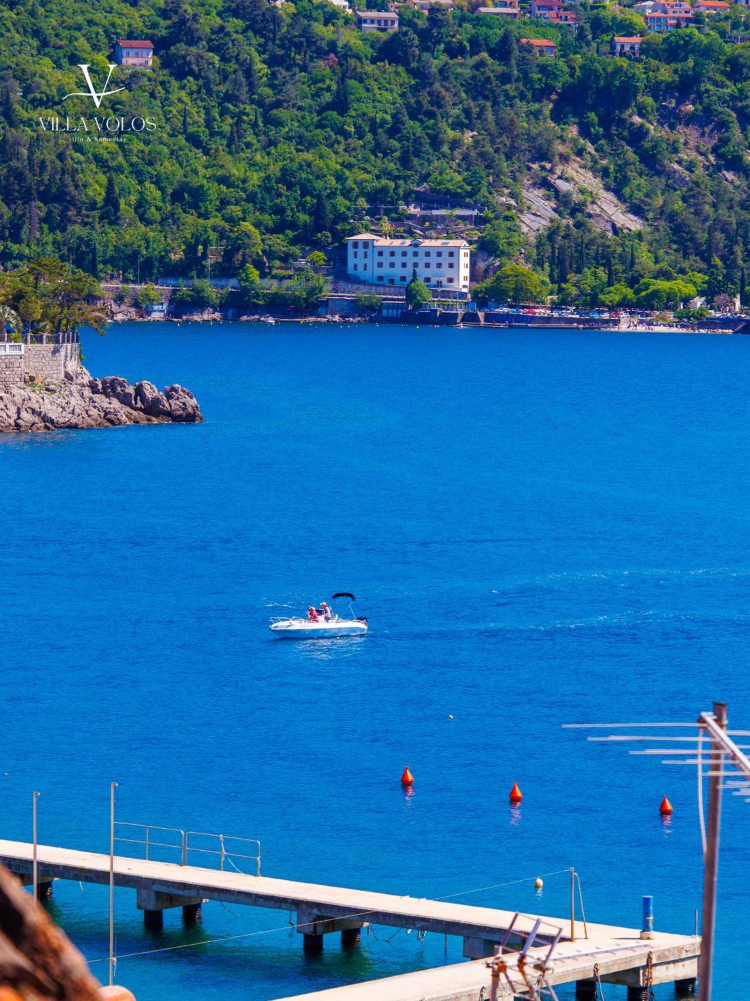 Villa Volos Apartment Karmen With Roof Terrace, Sea View, Free Private Parking Opatija Eksteriør billede